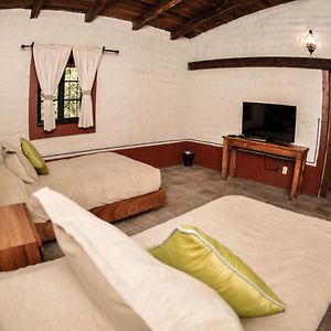 Twin Room Garden View